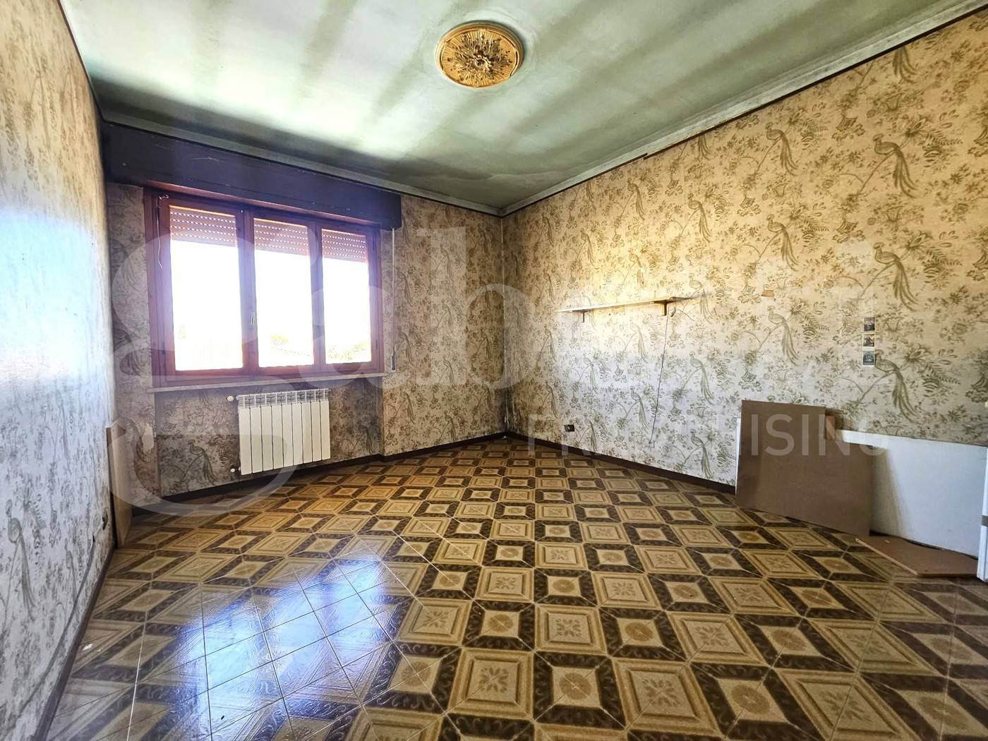  - foto 10