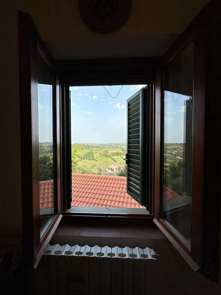  - foto 11