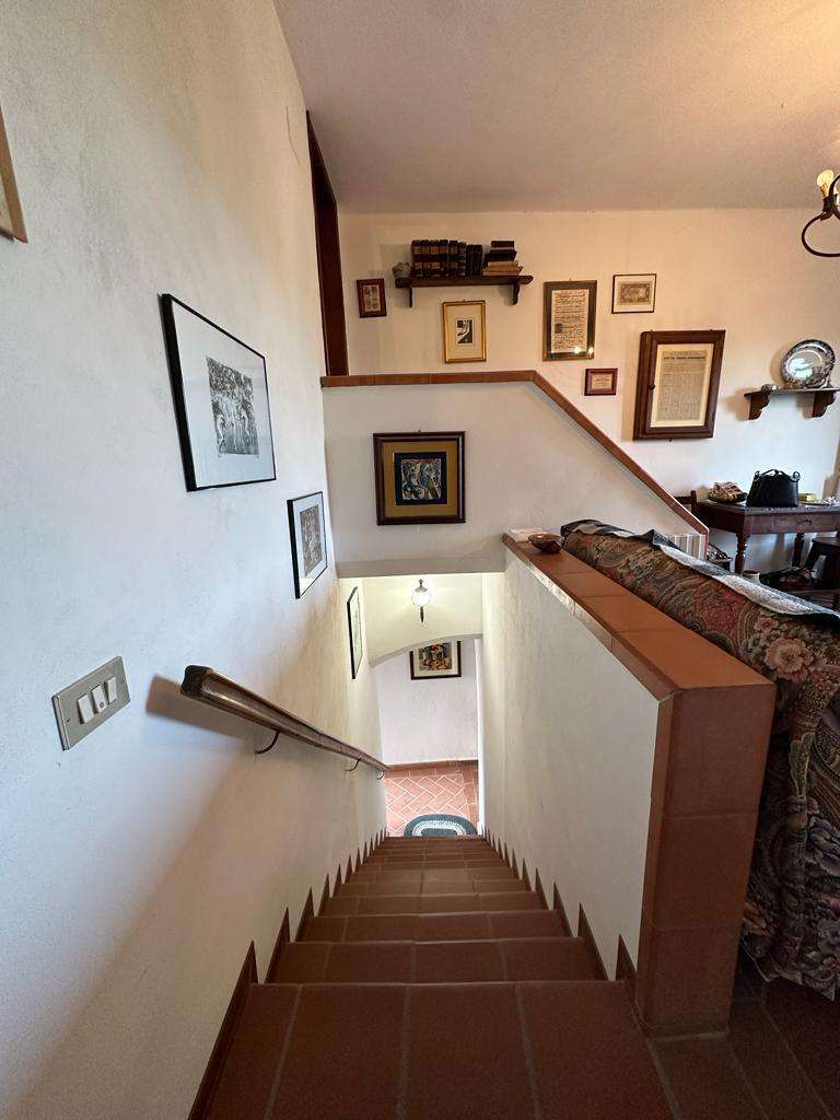  - foto 14