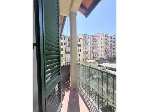  - foto 15
