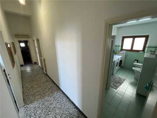  - foto 9