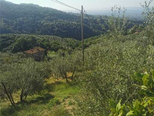  - foto 23