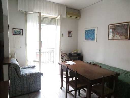  - foto 17