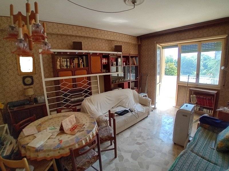  - foto 5