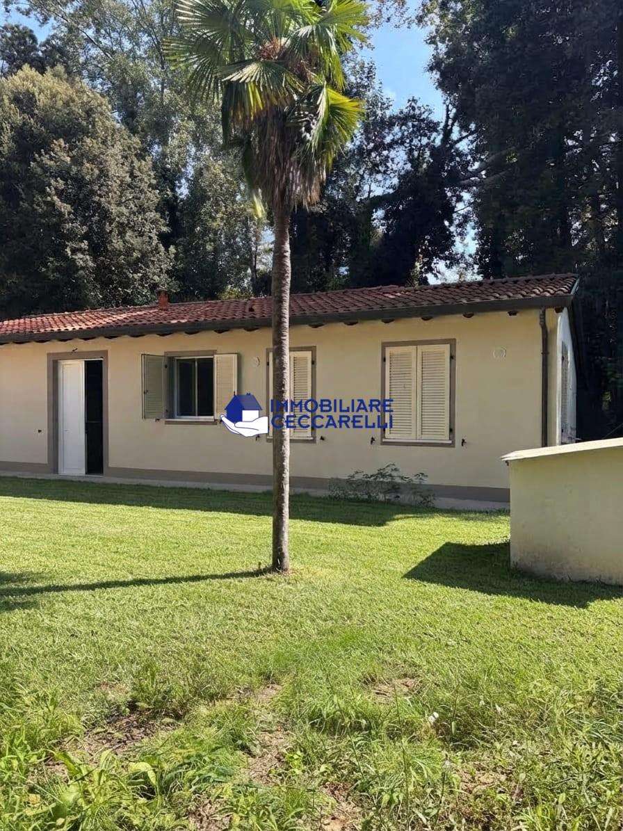  - foto 2