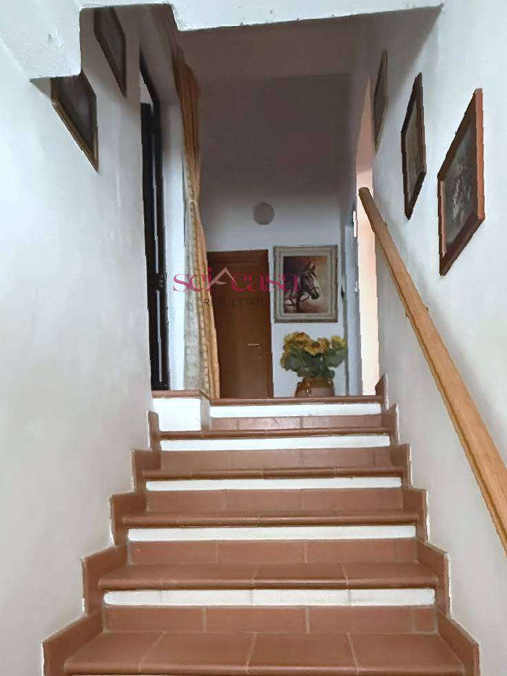  - foto 21