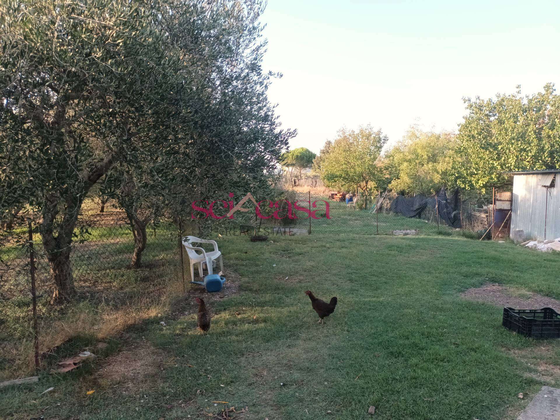 - foto 29