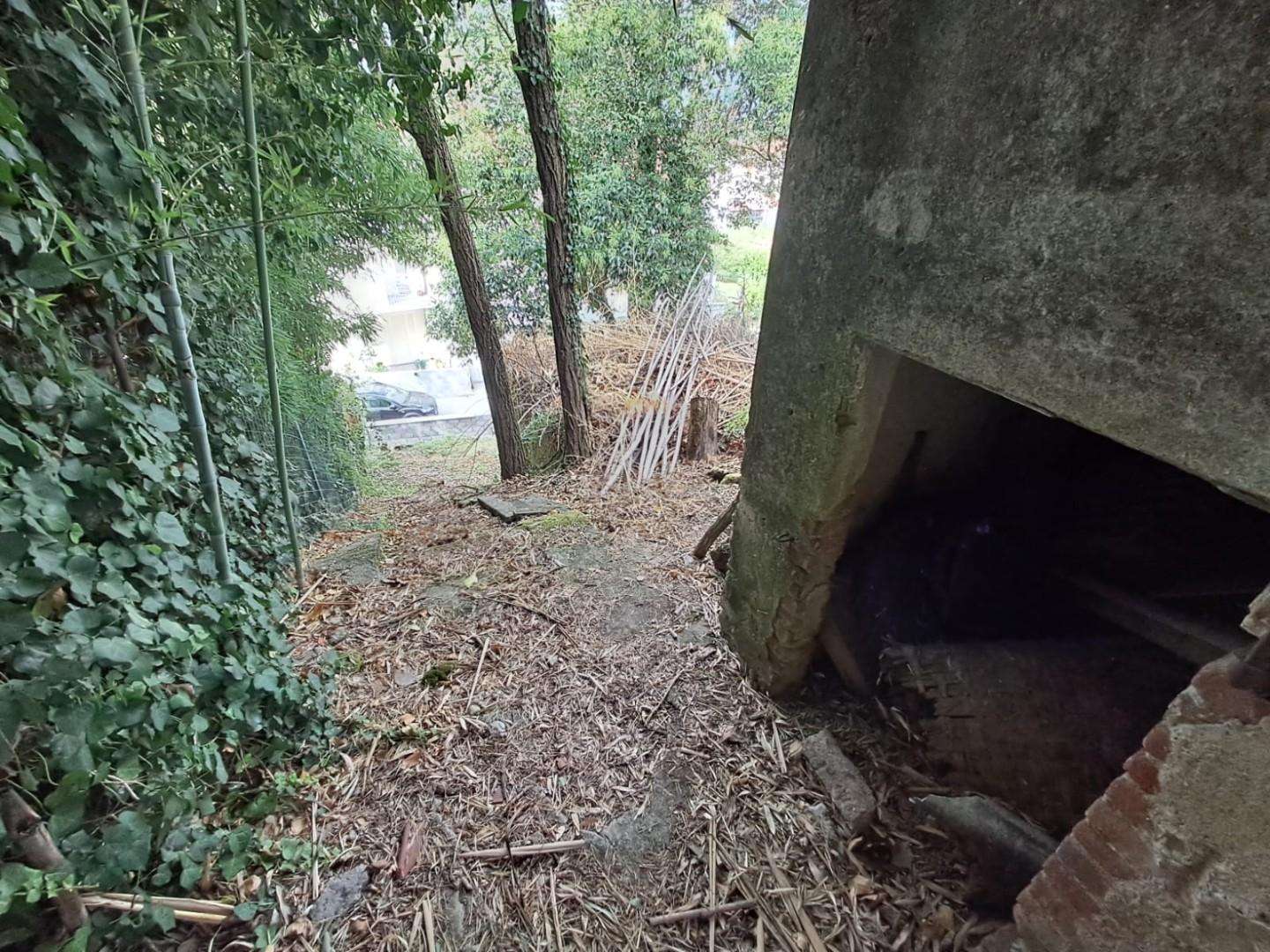  - foto 11