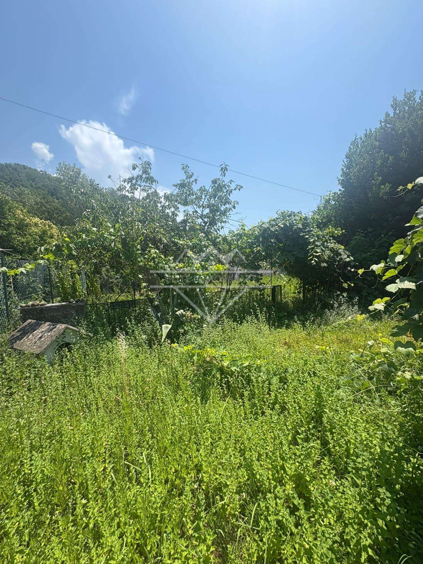 - foto 31