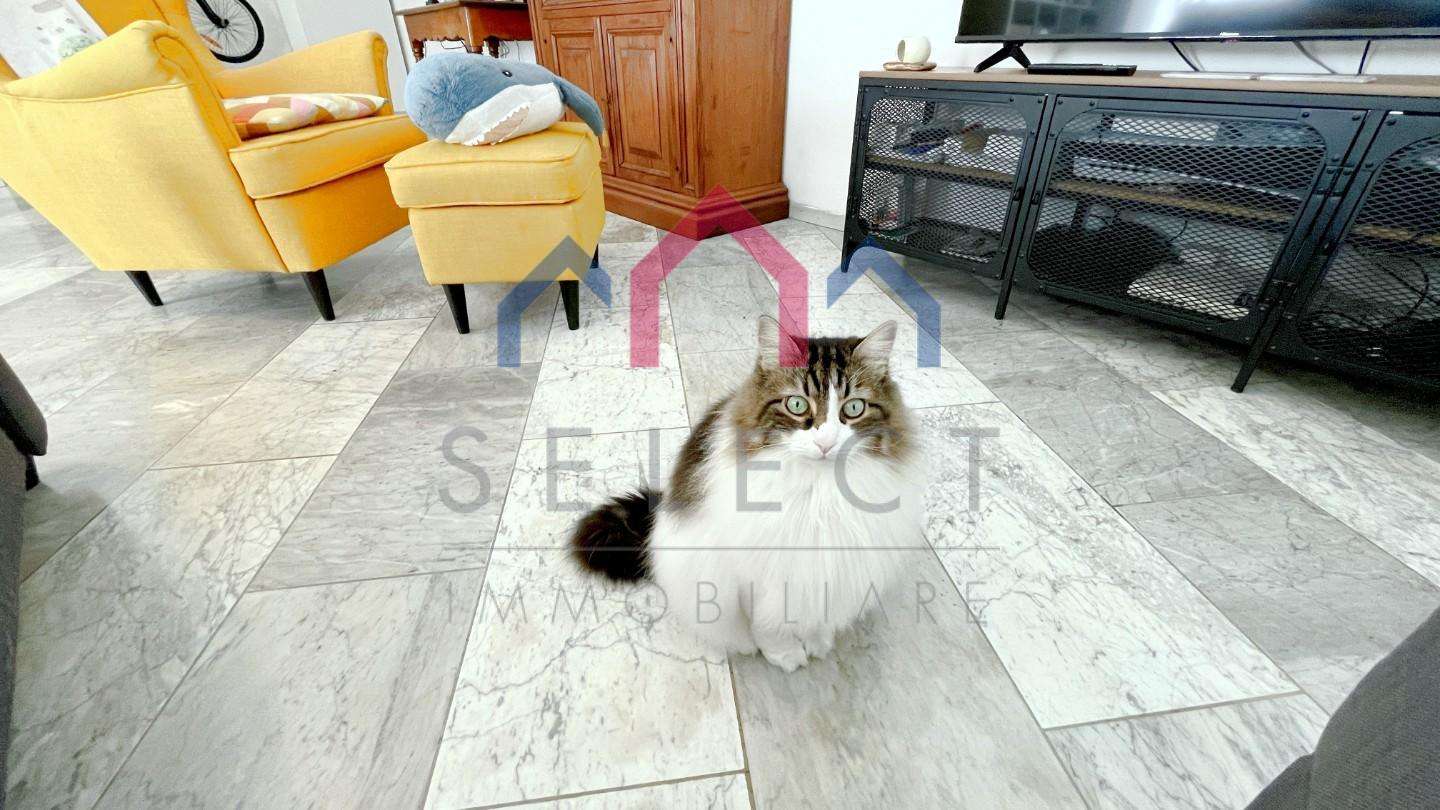 - foto 8