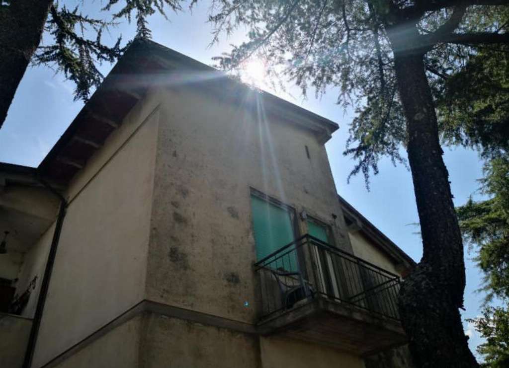 - foto 4