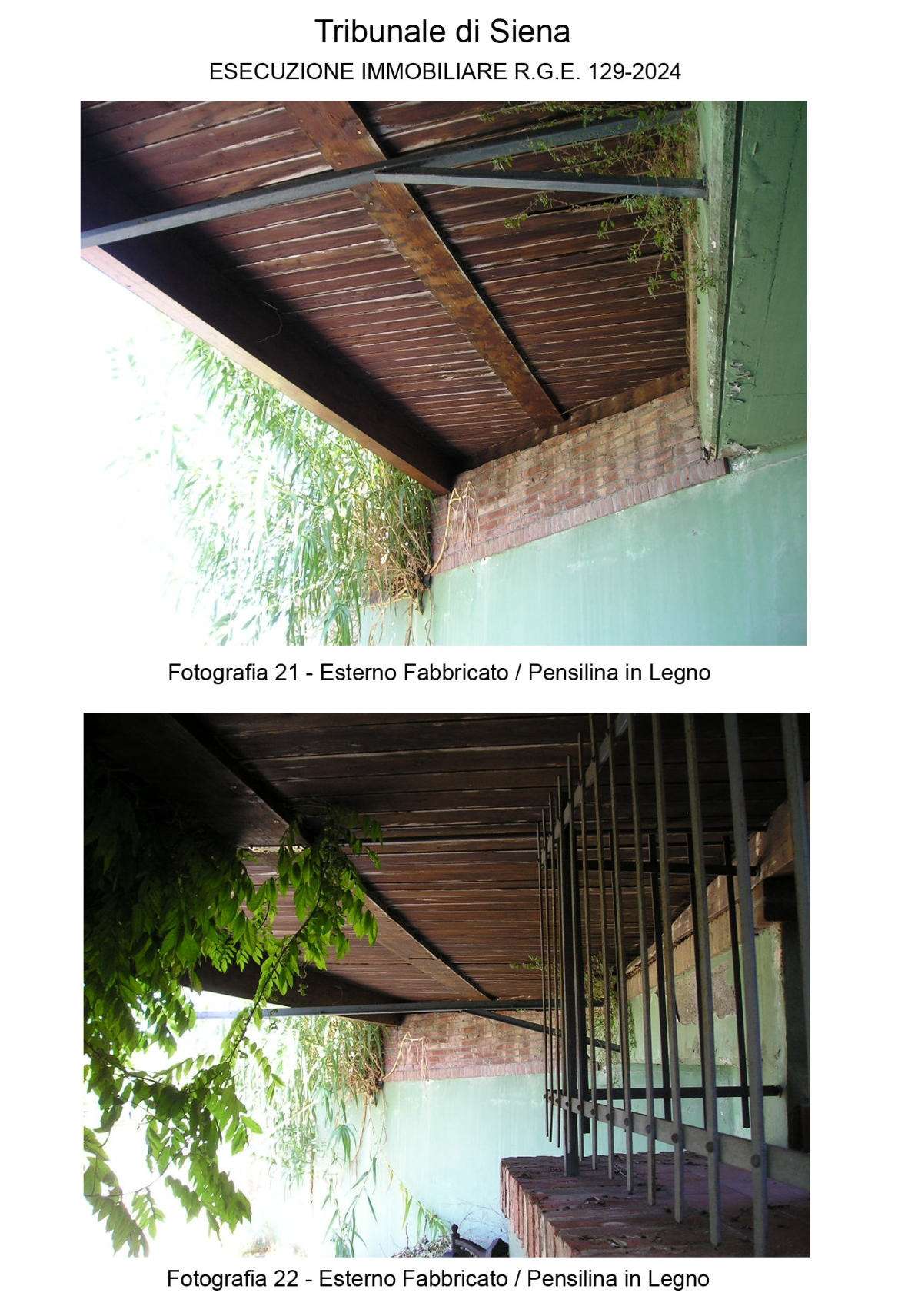  - foto 13