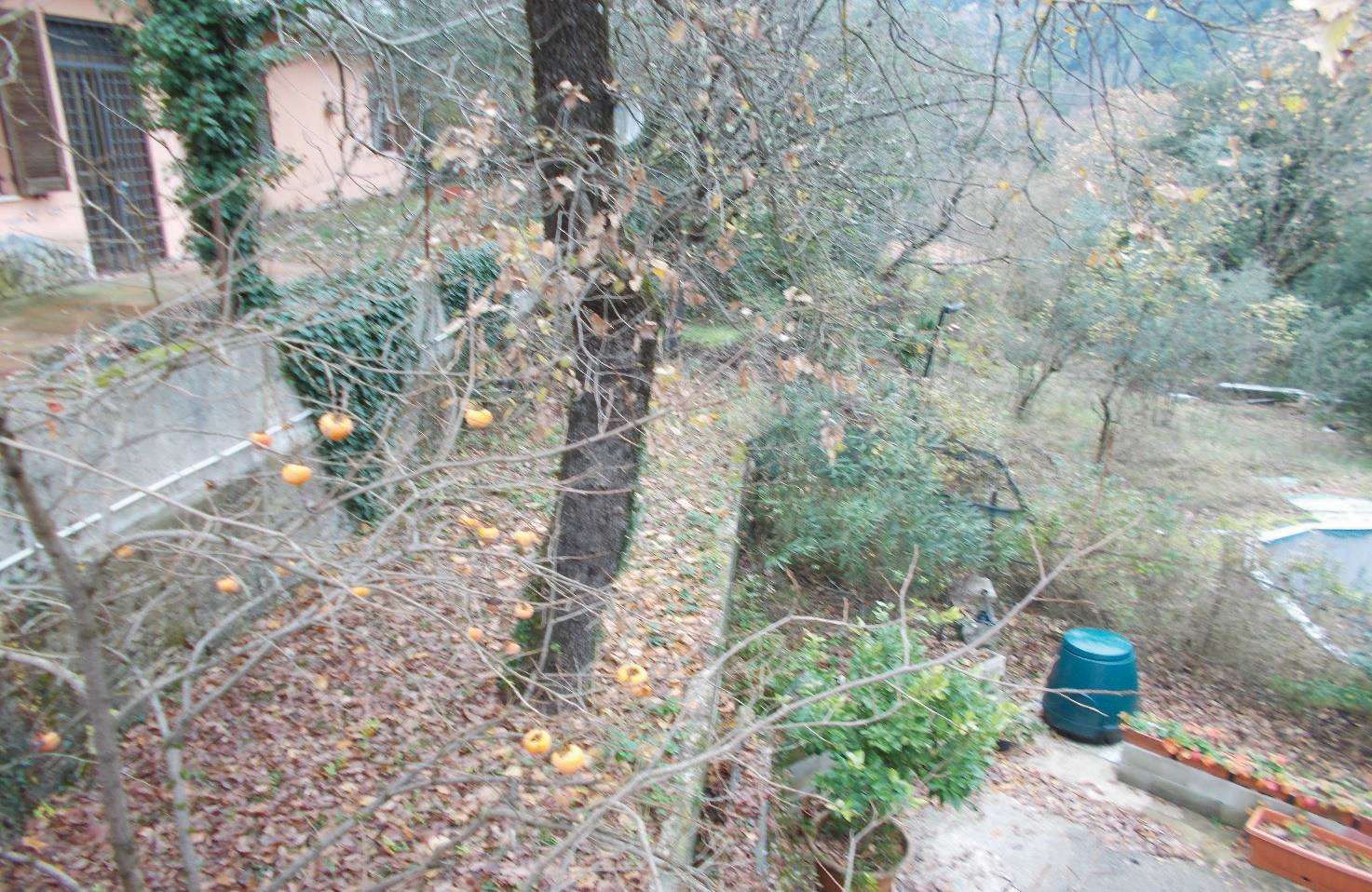  - foto 22