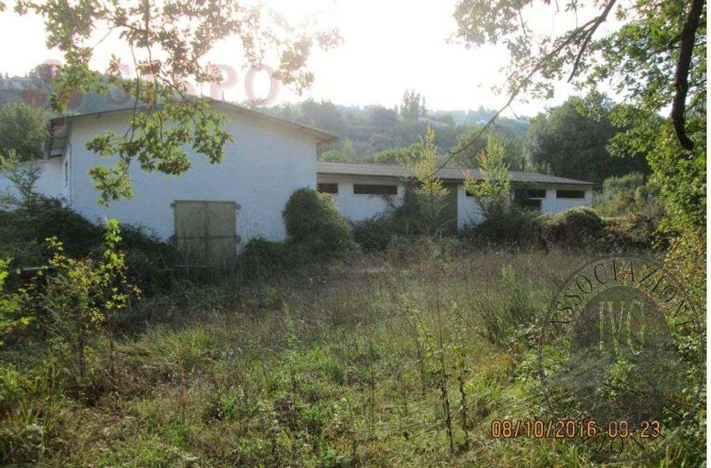  - foto 6