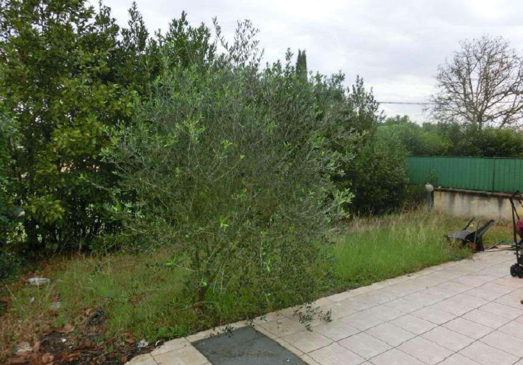  - foto 13