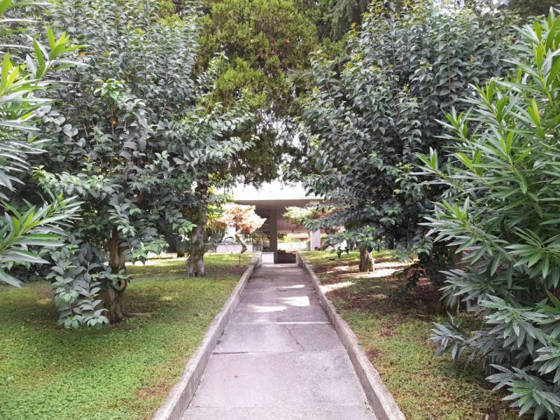  - foto 2