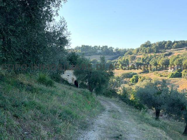  - foto 2