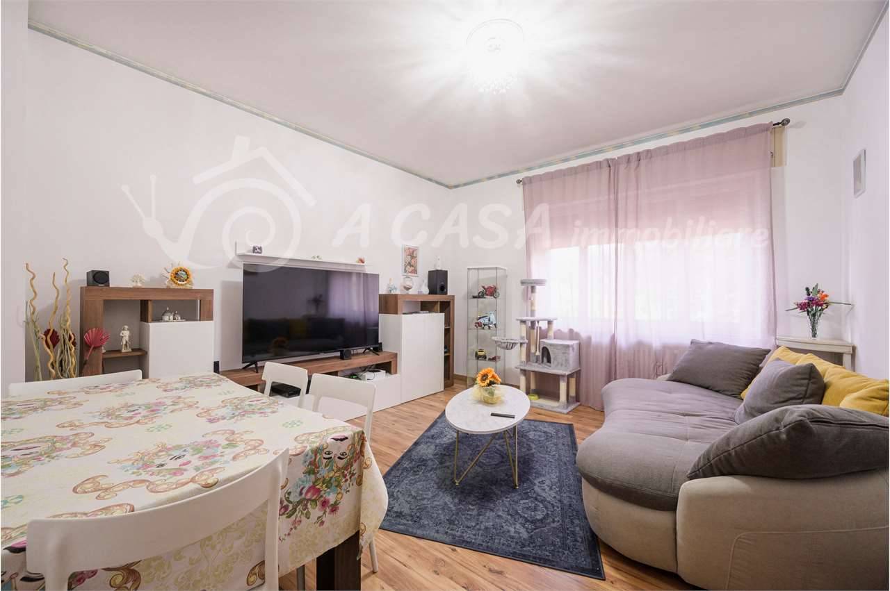  - foto 6