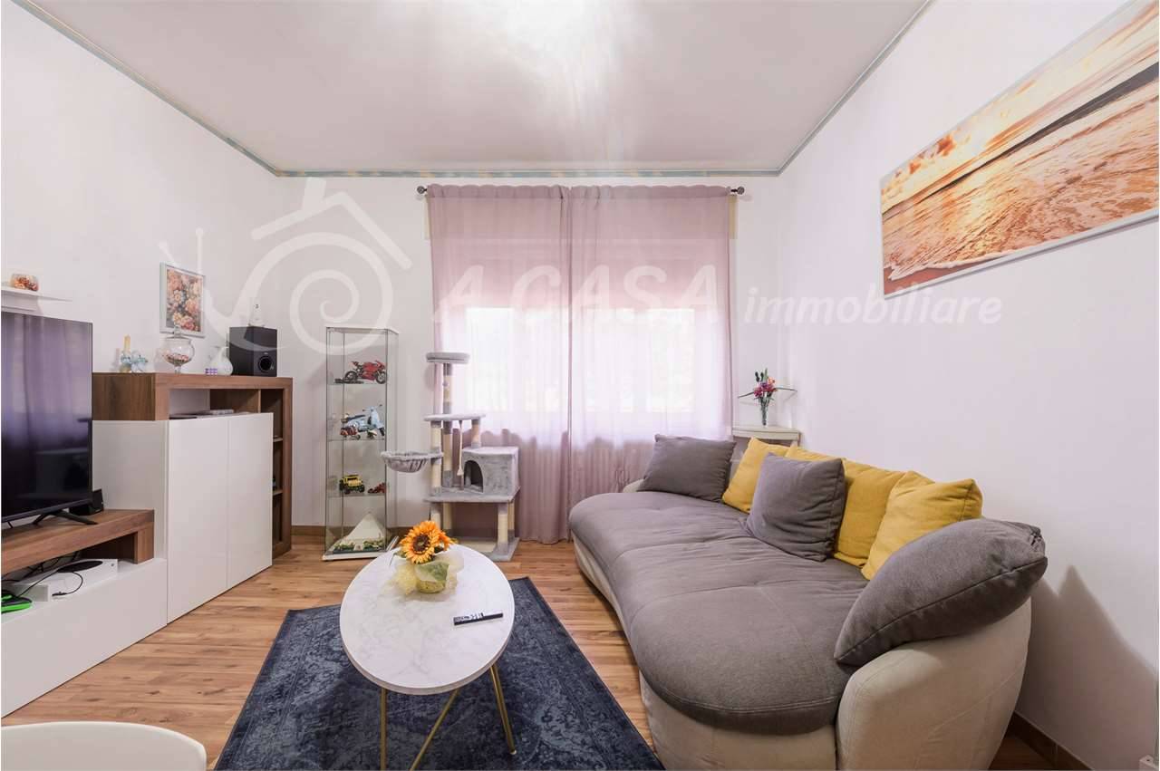  - foto 7