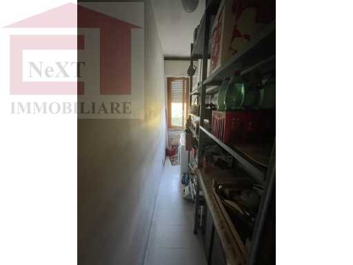  - foto 17