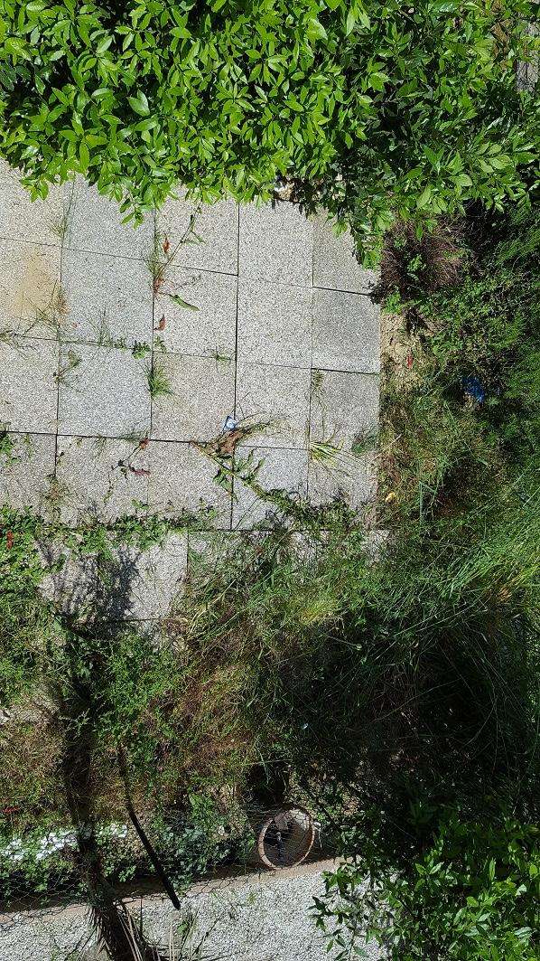  - foto 9