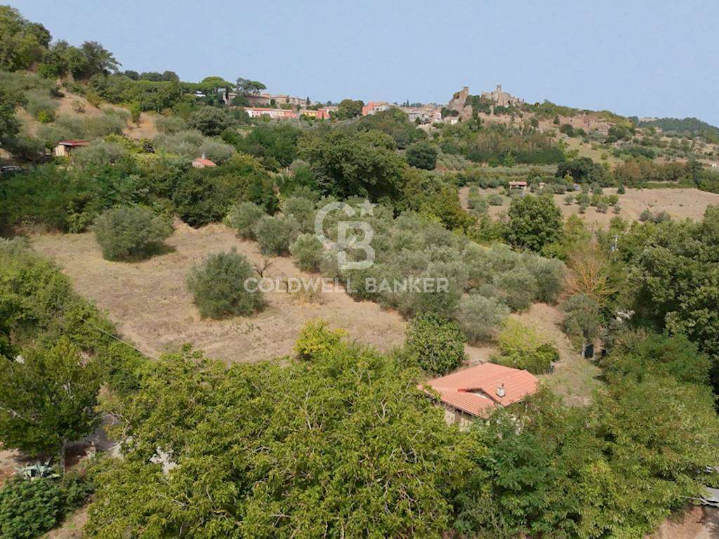 Terreno agricolo località calende snc, Celleno