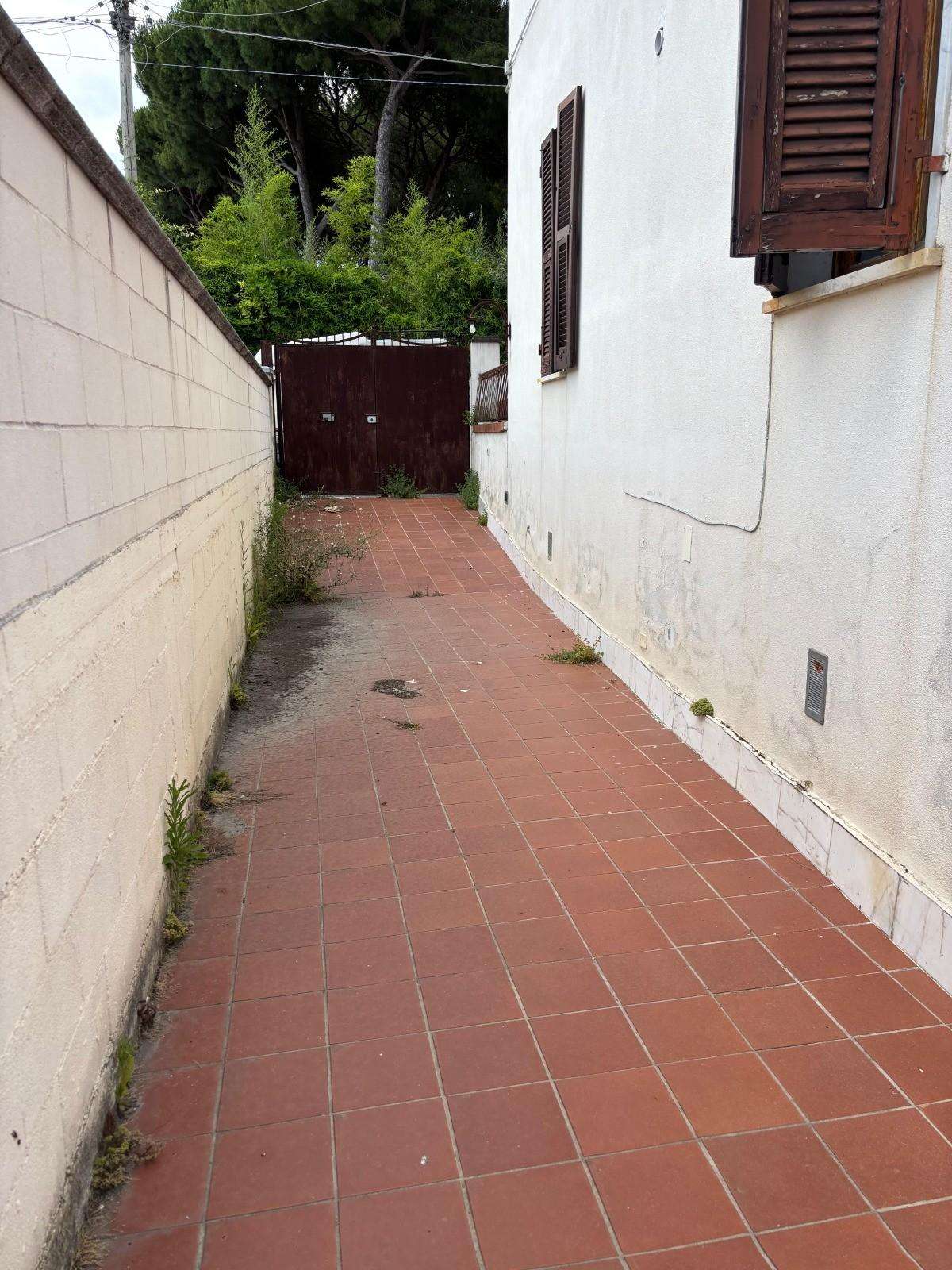  - foto 15