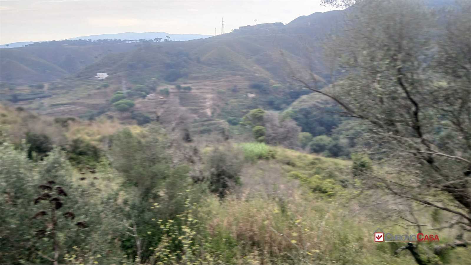  - foto 7