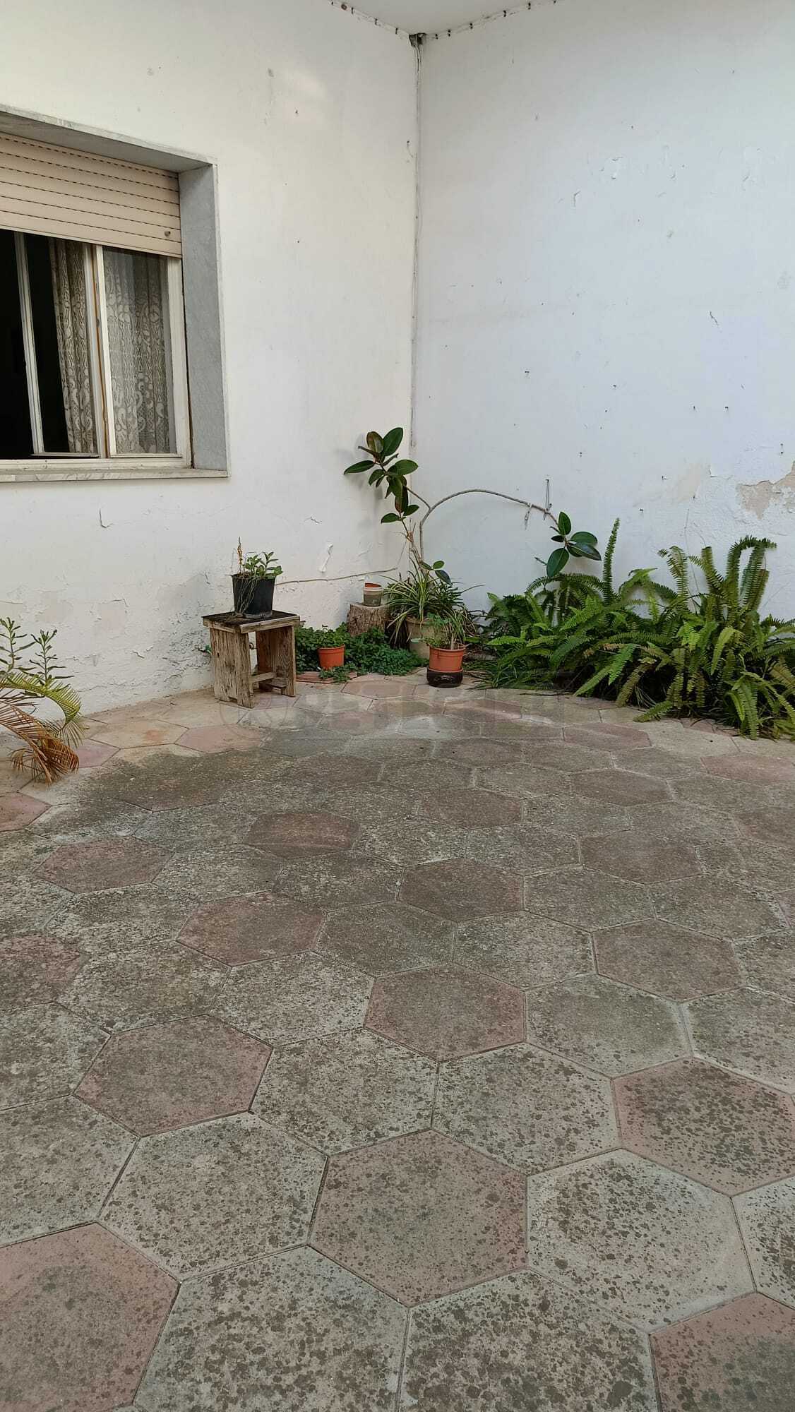  - foto 13