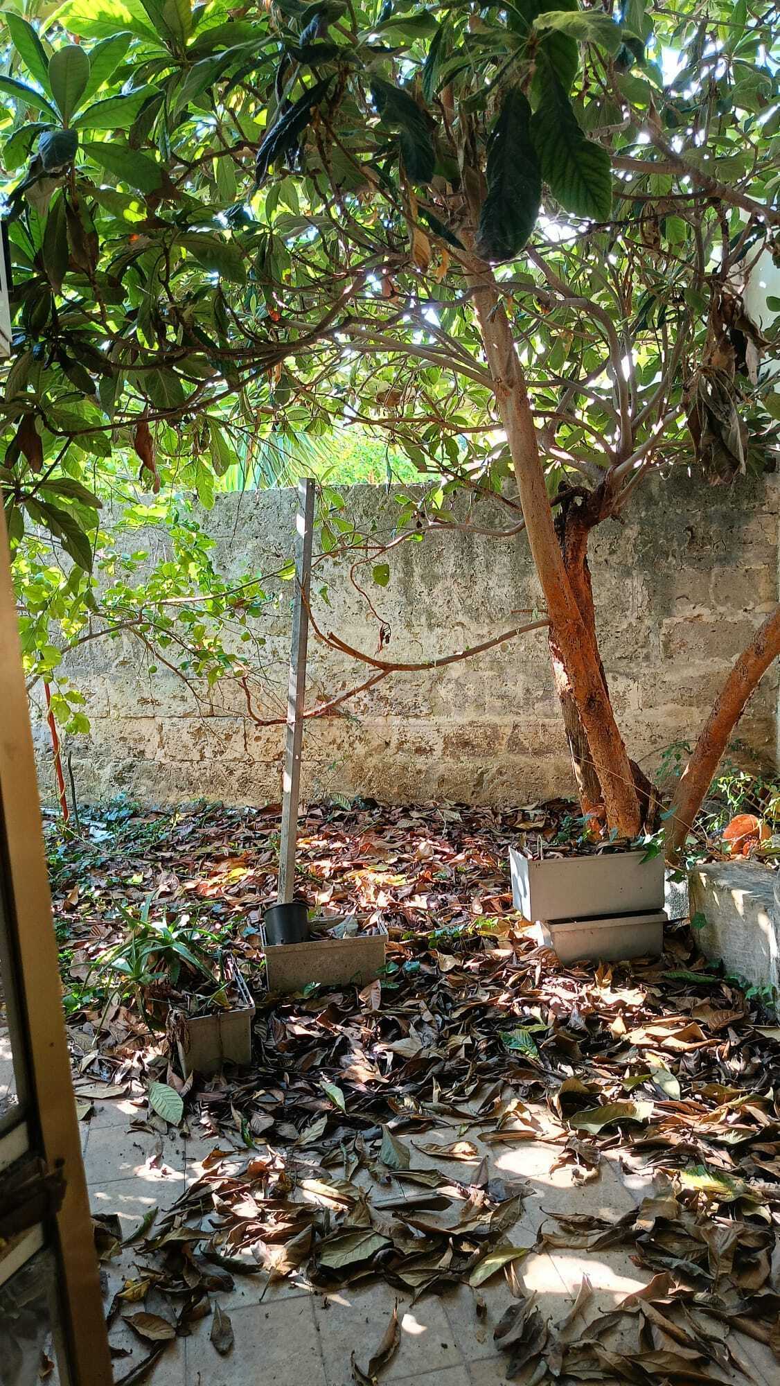  - foto 21