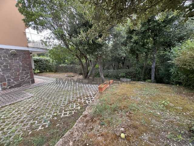  - foto 41
