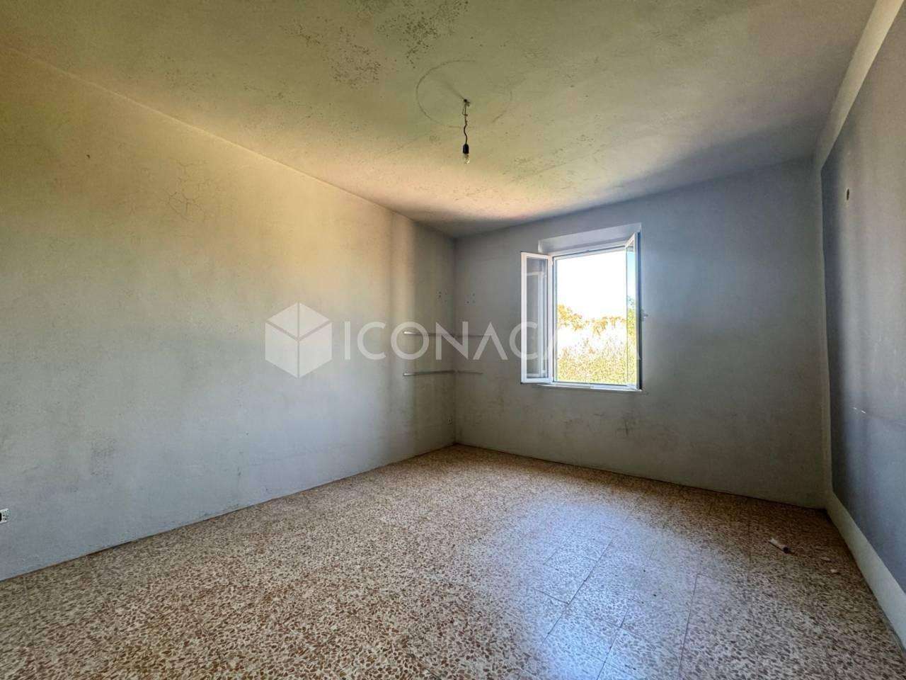  - foto 11