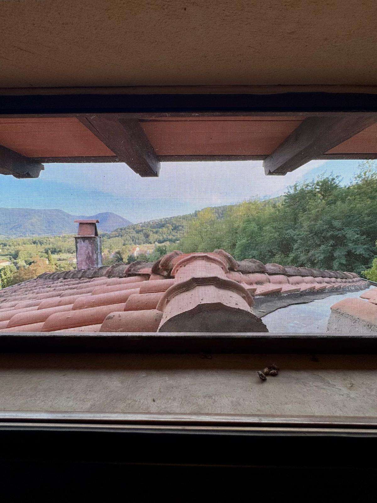  - foto 60