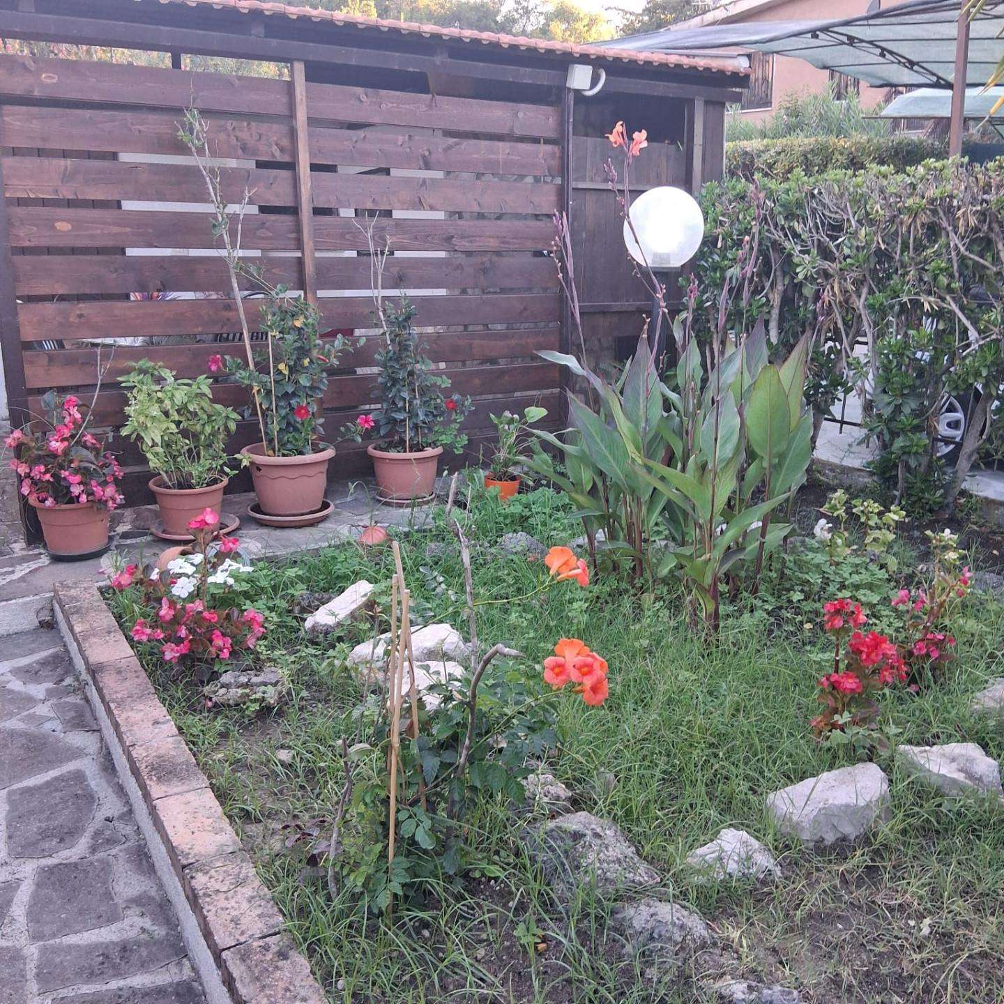  - foto 32