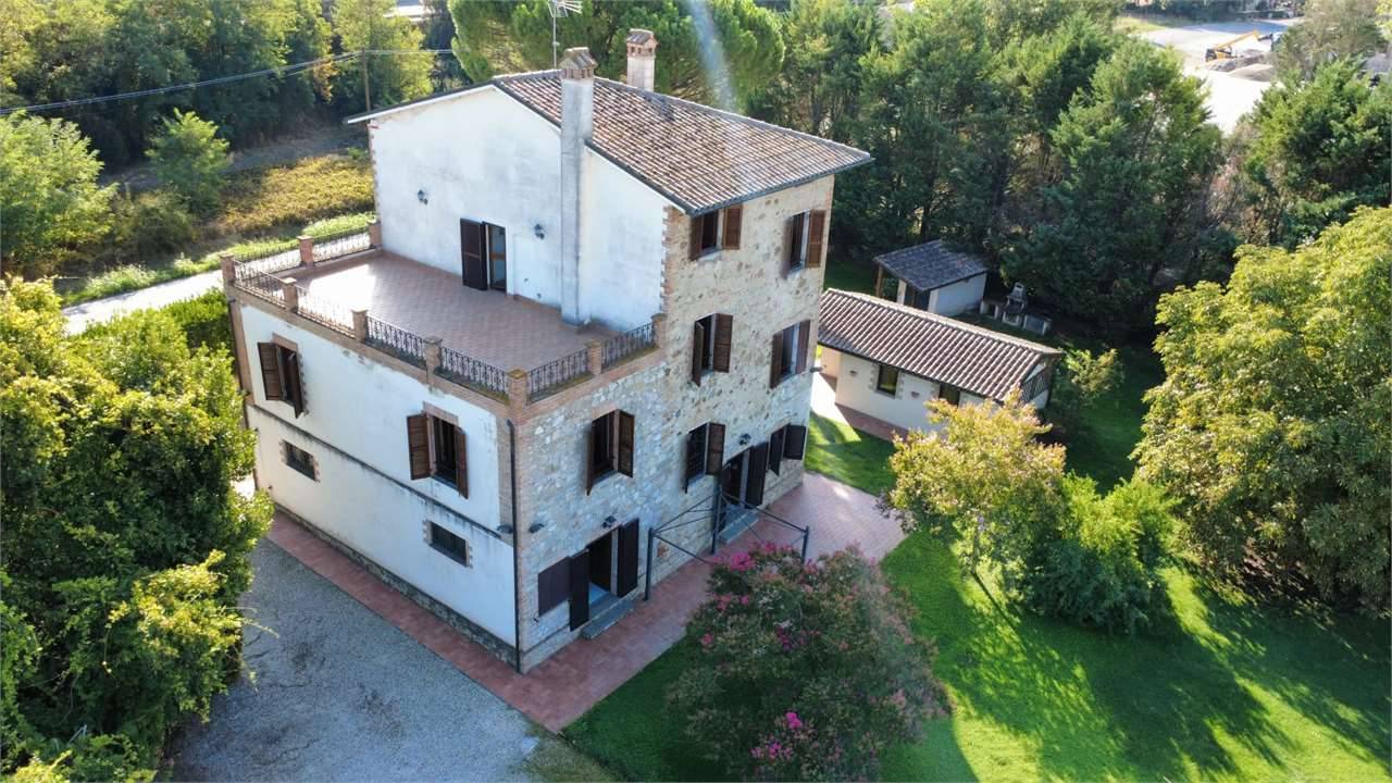 Rustico Ilci, Todi