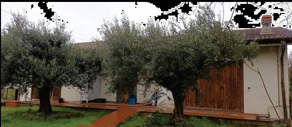  - foto 2
