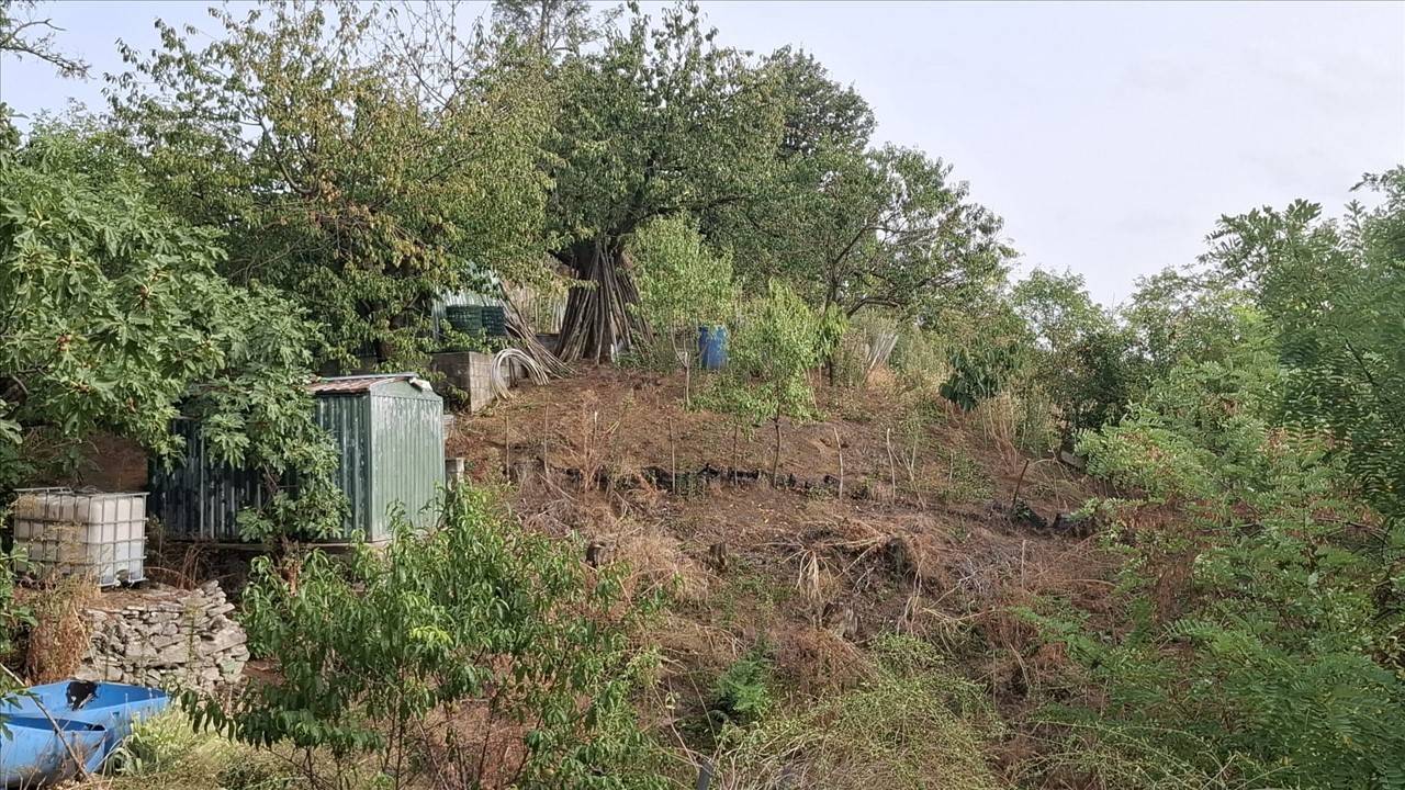  - foto 5