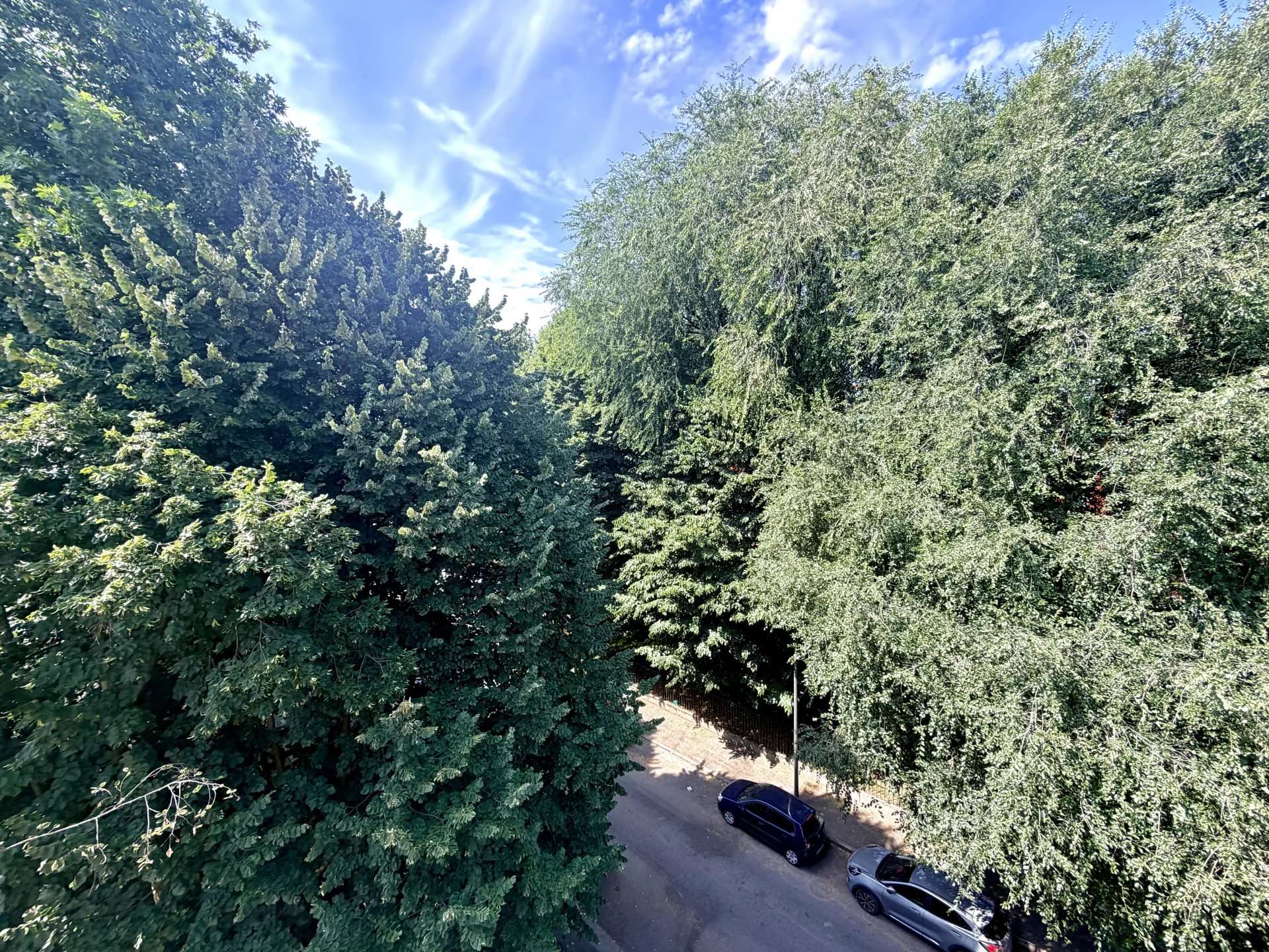  - foto 21