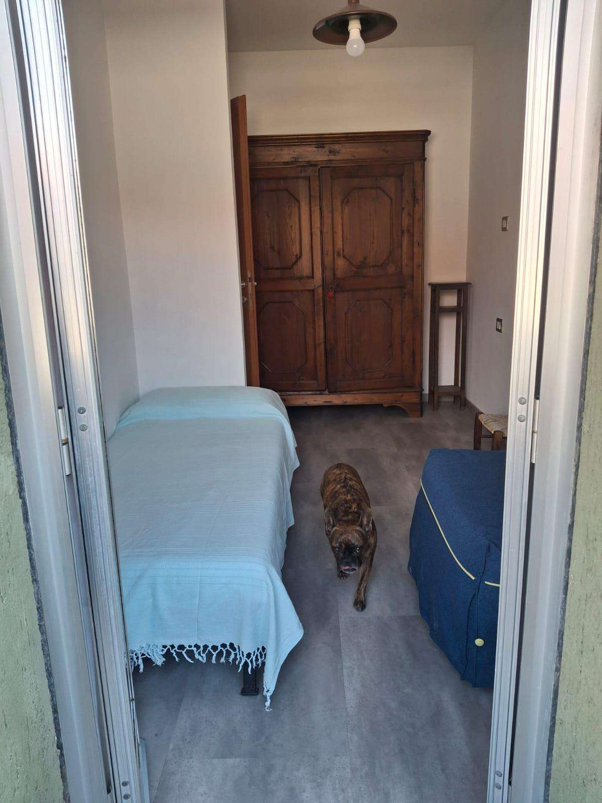  - foto 10