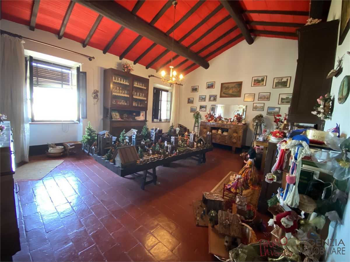  - foto 10