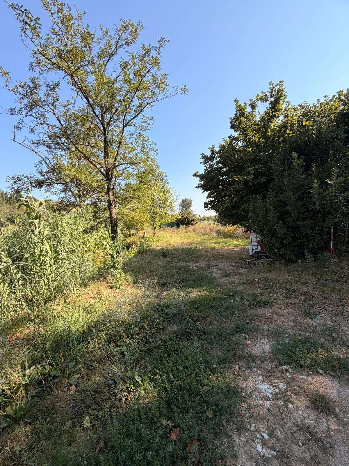  - foto 20