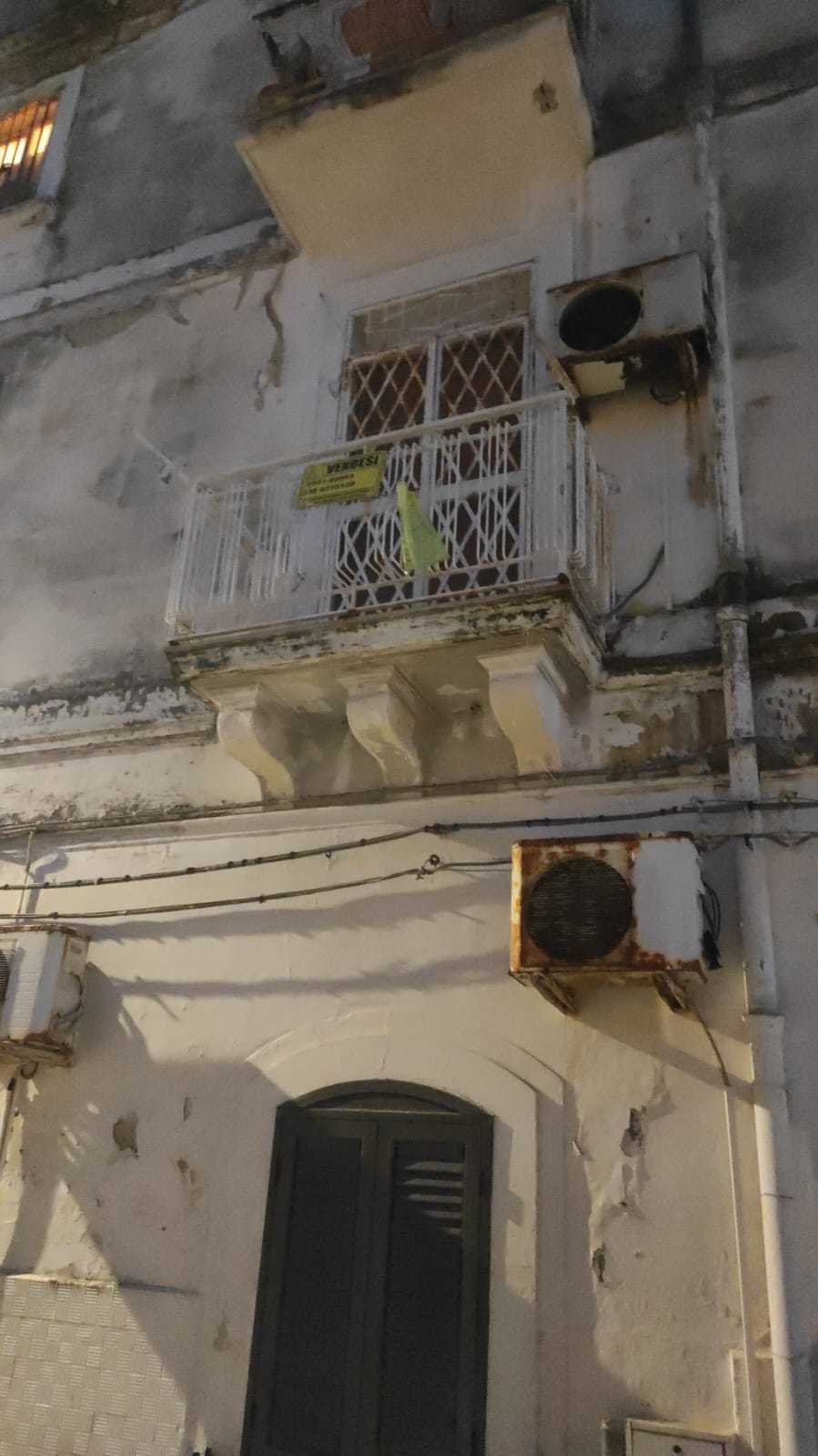  - foto 20
