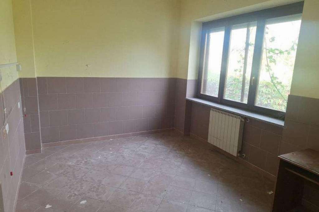  - foto 86
