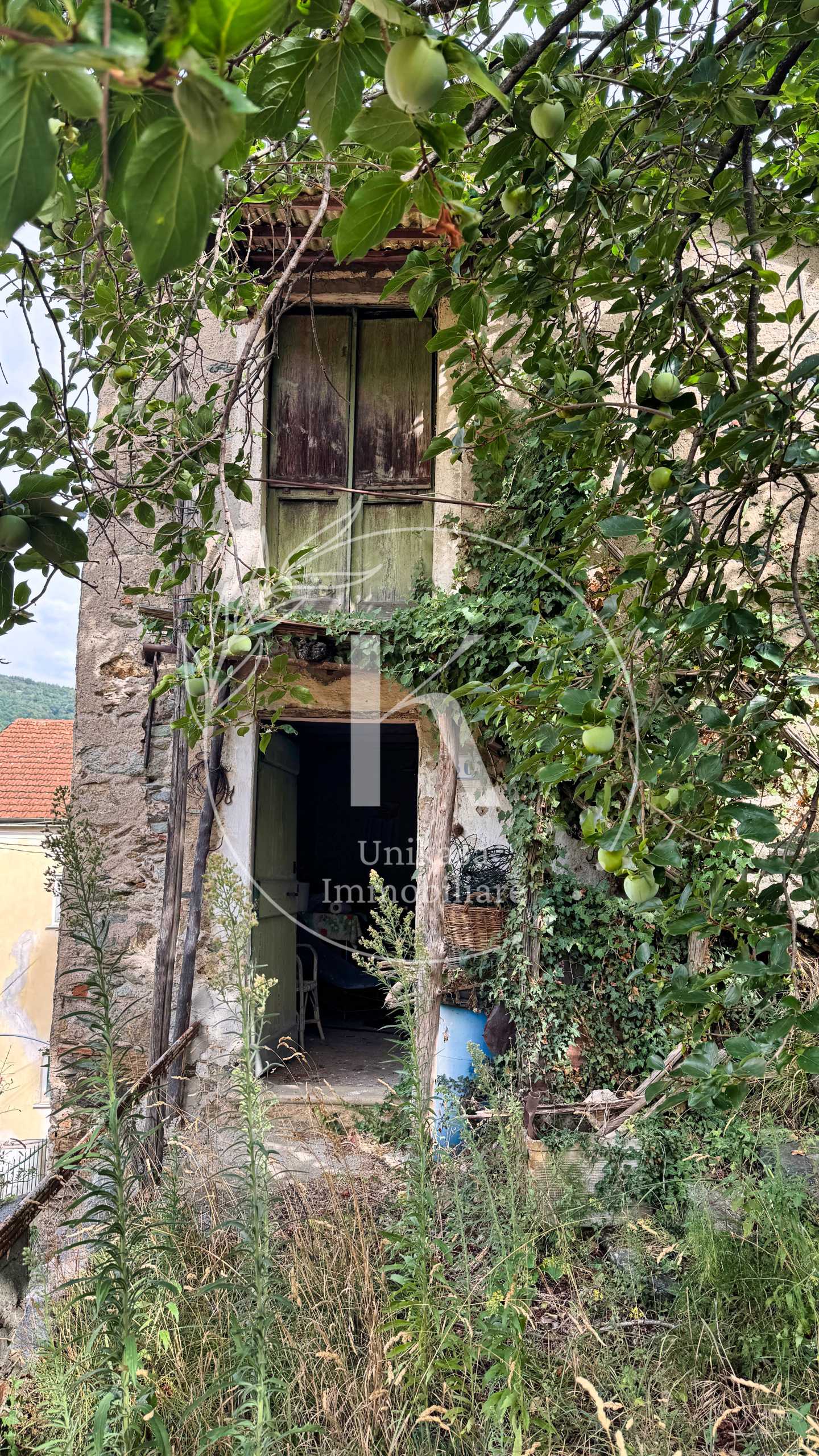  - foto 20