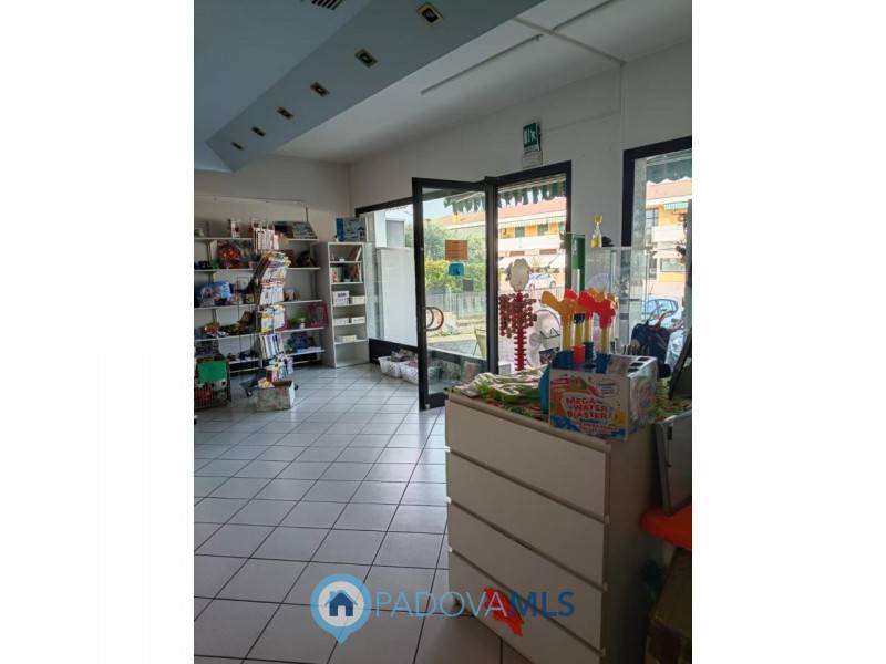 Attività  commerciale Villatora, Saonara
