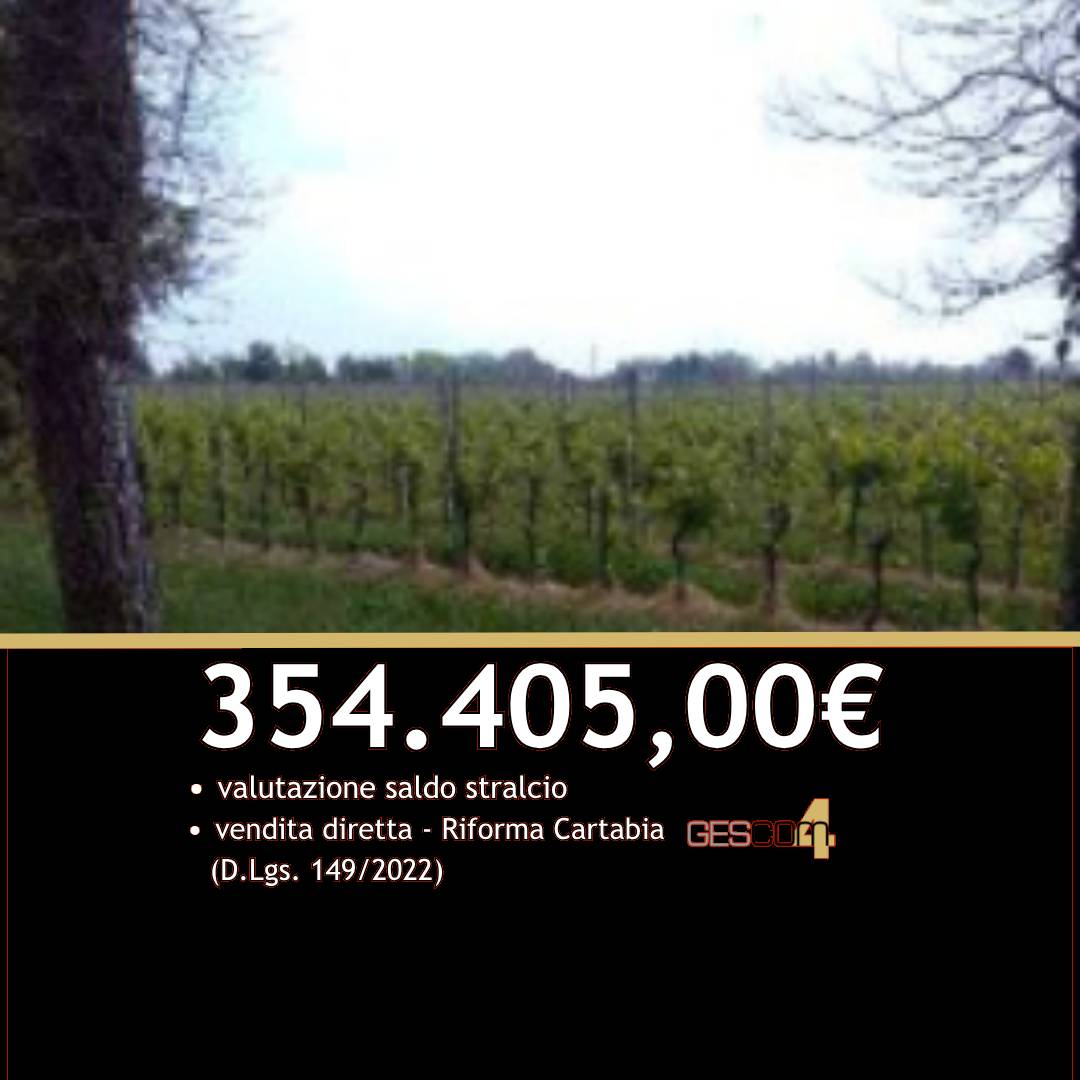  - foto 4
