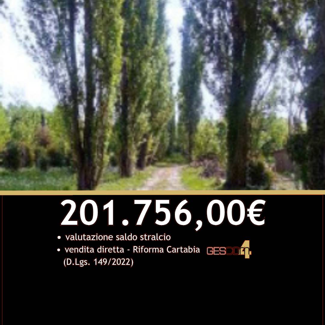  - foto 2