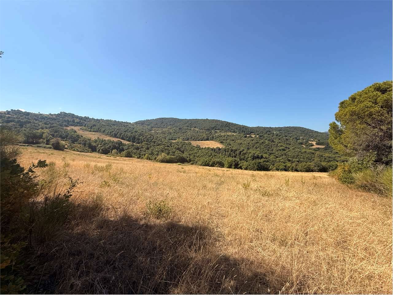 Terreno agricolo Cibottola, Piegaro