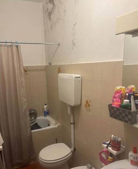  - foto 7