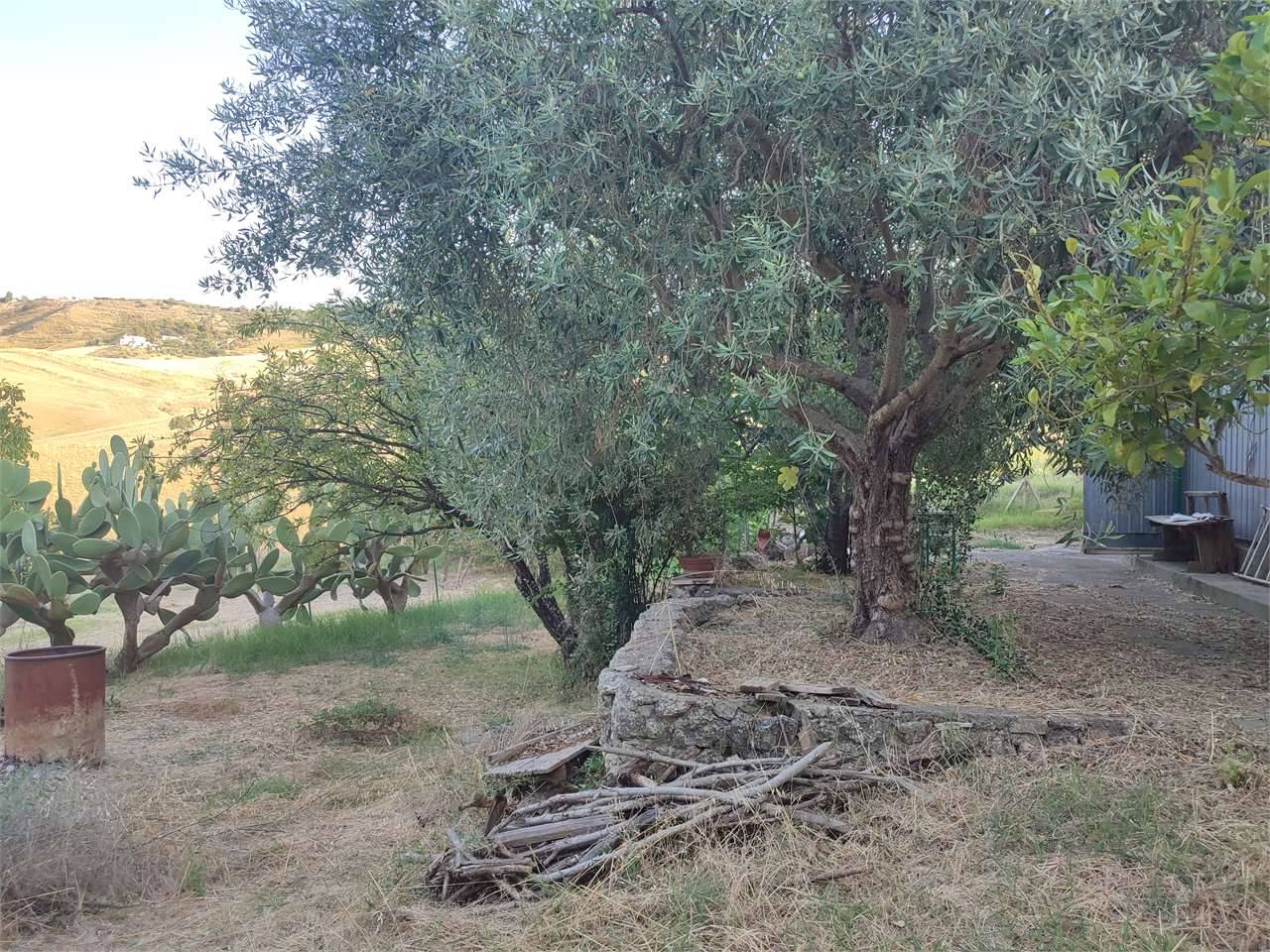 Terreno agricolo Via Francesco Pignatone, San Cataldo